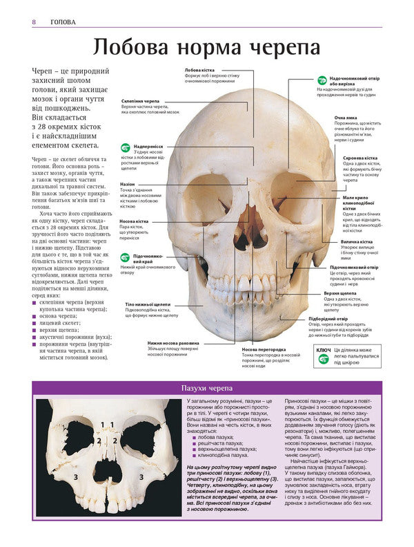 Atlas Of The Human Body: A Guide To How The Body Works / Атлас тіла людини: посібник про те, як працює організм Peter Abrahams / Пітер Абрахамс 9786178347116-6