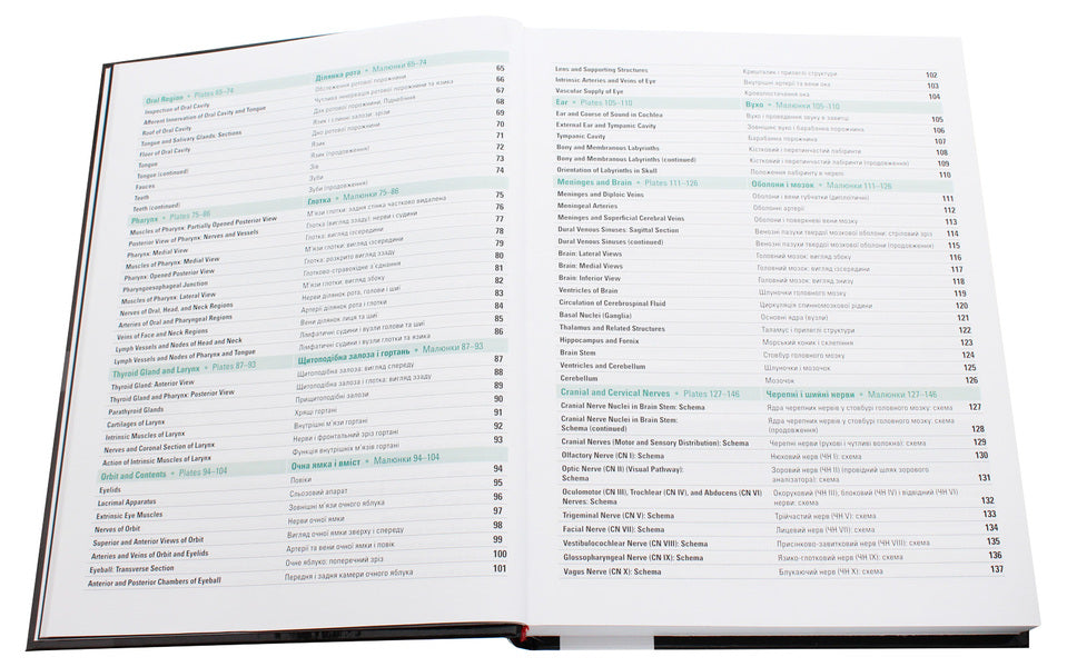 Atlas of Human Anatomy / Atlas of human anatomy / Atlas of Human Anatomy / Атлас анатомії людини Фрэнк Неттер 978-617-505-769-8-6