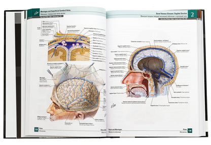 Atlas of human anatomy according to Netter. Classic area approach / Атлас анатомії людини за Неттером. Класичний ділянковий підхід Фрэнк Неттер 978-617-505-982-1-6