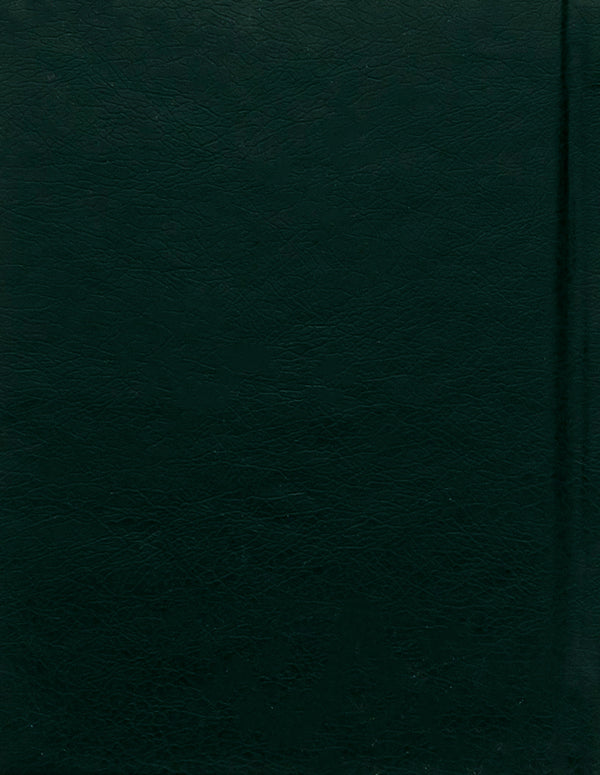 Autumn flower / Квітка осіння Владимир Сосюра 978-966-03-7392-1-2