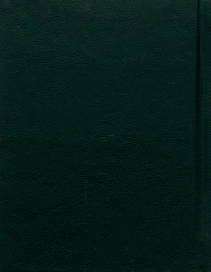 Autumn flower / Квітка осіння Владимир Сосюра 978-966-03-7392-1-2