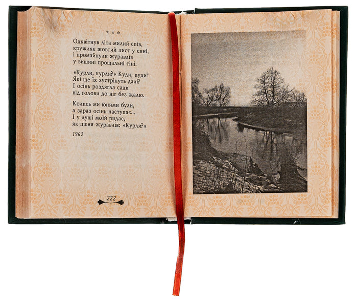 Autumn flower / Квітка осіння Владимир Сосюра 978-966-03-7392-1-6