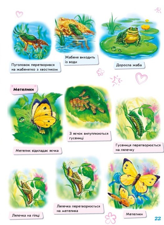 Babies About Everything In The World / Малюкові про все на світі / Author not specified 9786170986092-5