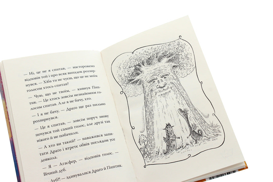 Baby Is A Princess Of Dragon. Book 1 / Маляка — принцеса Драконії. Книга 1 Sashko Dermansky / Сашко Дерманський 9789664212745-5