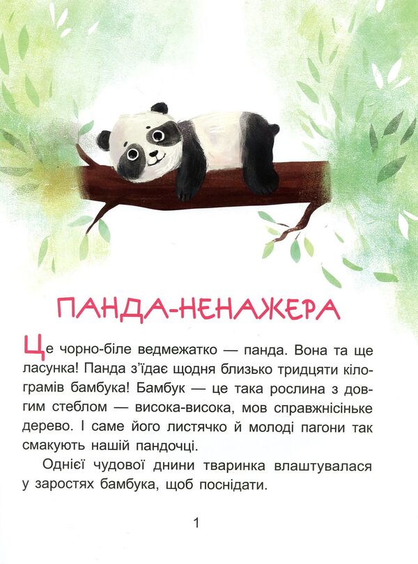 Baby koala.We read for 10 minutes.2nd difficulty level / Коала-сонько. Читаємо 10 хвилин. 2-й рівень складності Екатерина Федорова 978-617-09-4307-1-3