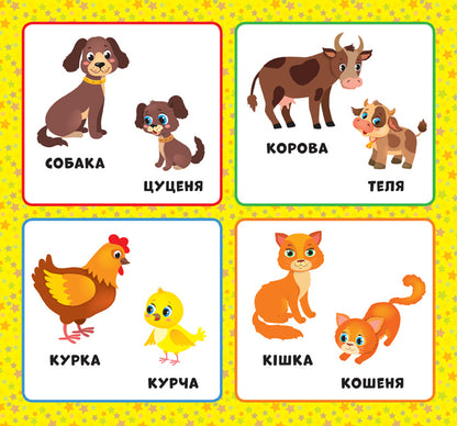 Baby's First Book.Who Is My Mother / Перша книжка малюка. Хто моя мама? Ekaterina Smirnova / Катерина Смирнова 9789662848601-2