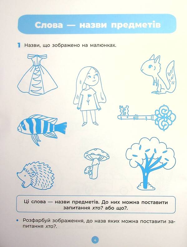 Basics Of Literacy. Workbook. 5-6 Years Old. According To The Updated Basic Component Of Preschool Education / Основи грамоти. Робочий зошит. 5-6 років. За оновленим Базовим компонентом дошкільної освіти Elena Shevtsova / Олена Шевцова 9786170040091-5