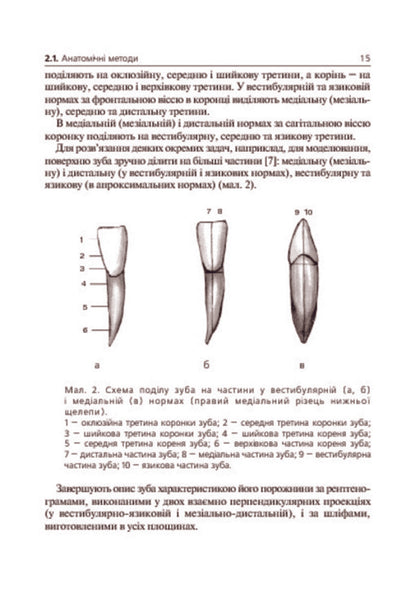 Basics of clinical morphology of teeth / Основи клінічної морфології зубів Рудольф Самусев, Сергей Дмитриенко 978-966-408-135-8-6