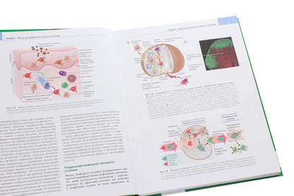 Basics of immunology. Functions and disorders of the immune system / Основи імунології. Функції та розлади імунної системи Абул К. Аббас 978-617-505-808-4-5
