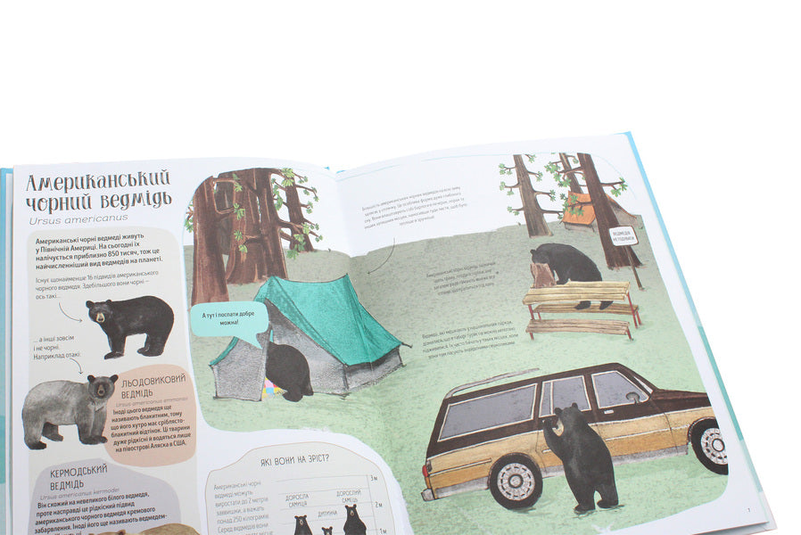 Bear book / Ведмежа книга Кейти Уиггерс 978-617-7579624-5