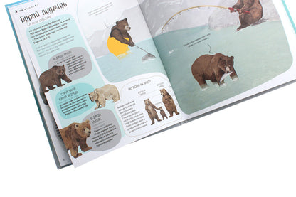 Bear book / Ведмежа книга Кейти Уиггерс 978-617-7579624-6