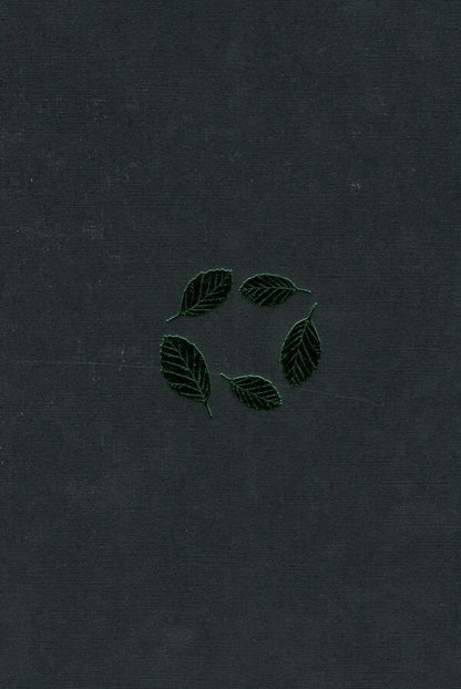 Beech land / Букова земля Мария Матиос 978-617-585-179-1-3