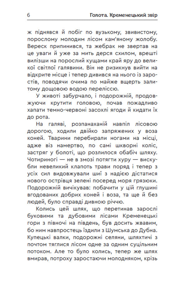 Beggarhood Kremenets Beast - Голота Кременецький звр Sergey Karyuk - Сергй Карюк 9789662793123-4