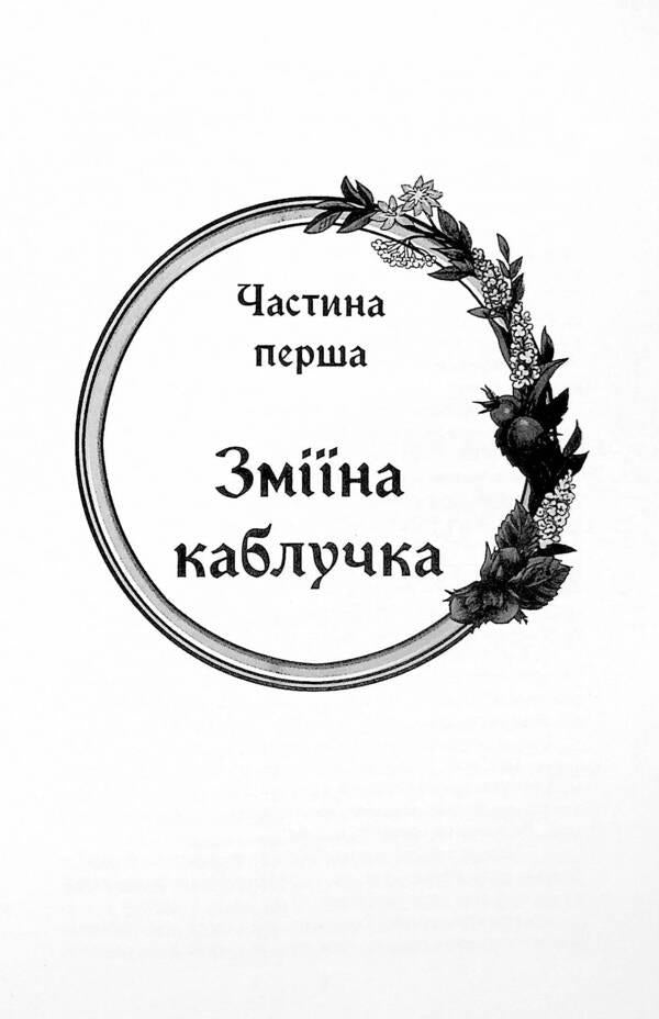 Benedyo Ptah, the Cossack Kuts and the naughty forest princess / Бенедьо Птах, козак Куць і неслухняна лісова царівна Павел Дыма 978-617-520-094-0-5
