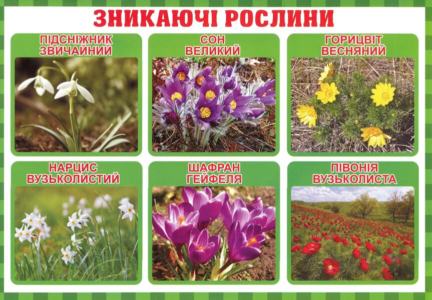 Between the past and the future. The teacher's portfolio. Didactic materials. 3rd grade / Між минулим та майбутнім. Тека вчителя. Дидактичні матеріали. 3 клас Ирина Волошина 4823076147952-2
