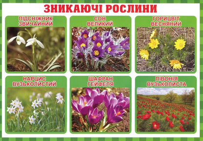 Between the past and the future. The teacher's portfolio. Didactic materials. 3rd grade / Між минулим та майбутнім. Тека вчителя. Дидактичні матеріали. 3 клас Ирина Волошина 4823076147952-2