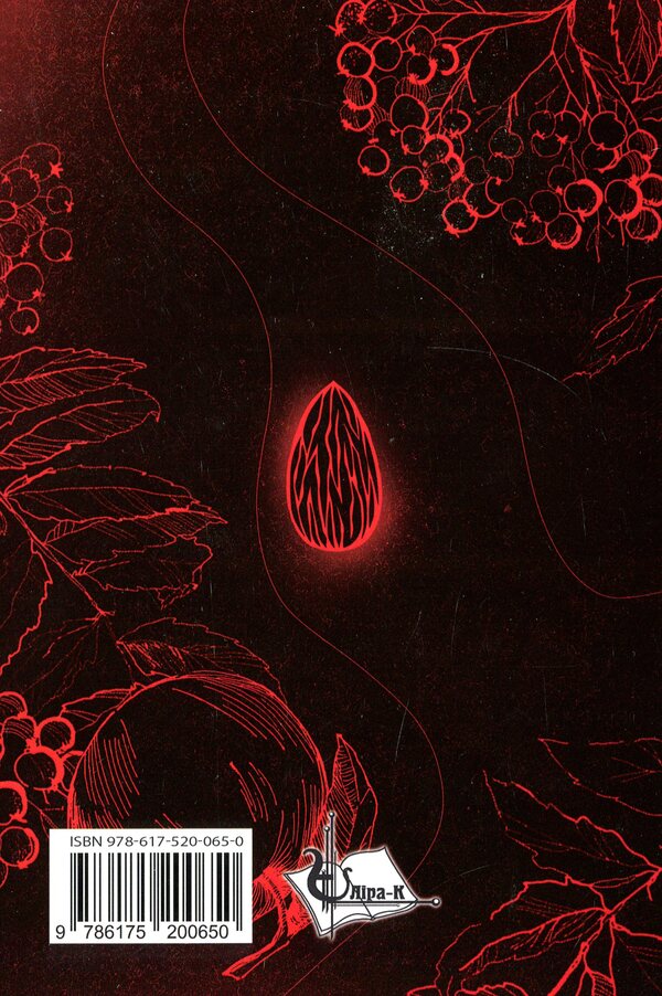 Beyond the border. An echo of the past. Fantasy novel Tsvar N. V. / За межею. Відгомін минулого. Роман-фентезі Цвар Н. В. Наталья Цвар 978-617-520-065-0-2