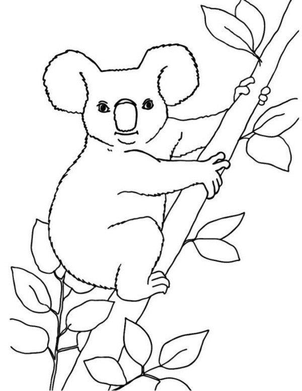 Big Book Of Coloring. Animals / Велика книга розмальовок. Тварини / Author not specified 9789667617622-4
