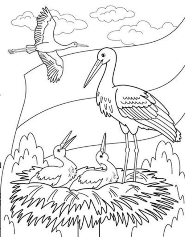Big Book Of Coloring. Ukraine / Велика книга розмальовок. Україна Yulia Kasparova / Джулія Каспарова 9789667617769-5