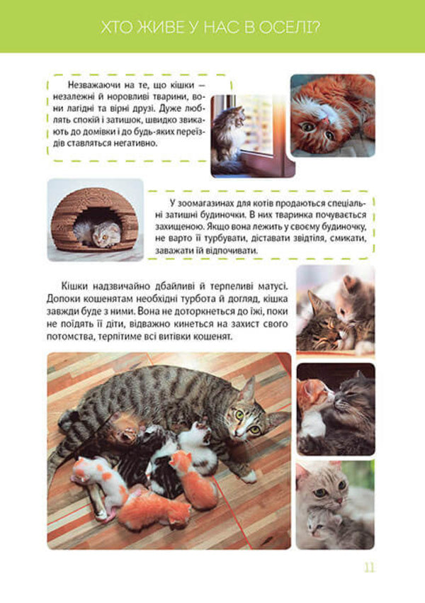 Big book about animals / Велика книга про тварин  978-966-935-837-0-4