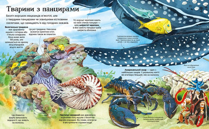 Big book (set of 4 books) / Велика книга (комплект із 4 книг) Минна Лейси 978-617-7940-17-2, 978-617-7688-65-4, 978-617-7688-09-8, 9786177940165,-6