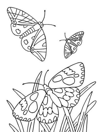Big coloring book.Animals / Велика книга розмальовок. Тварини  9789667511234-3