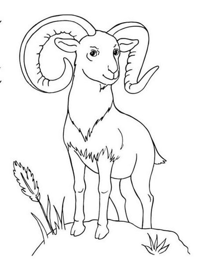 Big coloring book.Animals / Велика книга розмальовок. Тварини  9789667511234-5