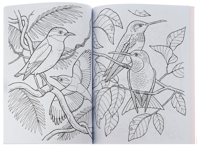 Big coloring book. Girl and flowers / Велика книга розмальовок. Дівчатка та квіти  9789667514716-6