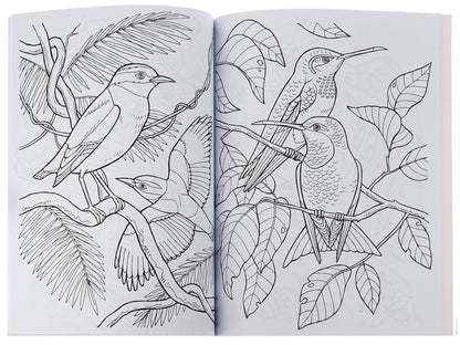 Big coloring book. Girl and flowers / Велика книга розмальовок. Дівчатка та квіти  9789667514716-6