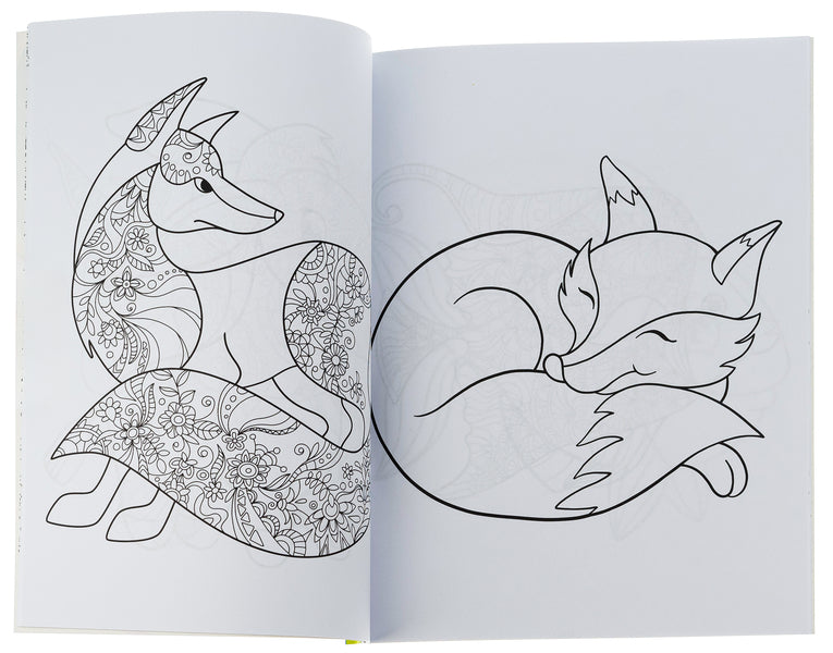 Big coloring book. Let's color together / Велика книга розмальовок. Розфарбовуємо разом  9789667514747-5