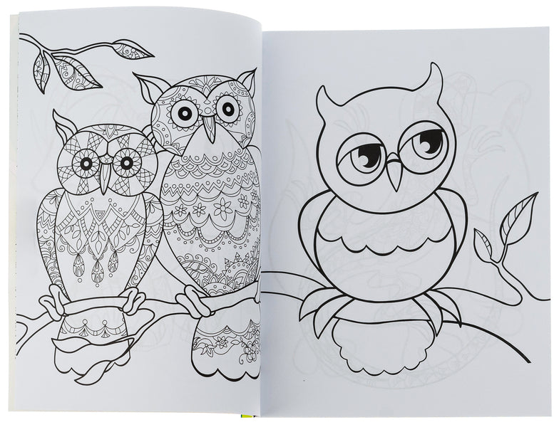 Big coloring book. Let's color together / Велика книга розмальовок. Розфарбовуємо разом  9789667514747-6