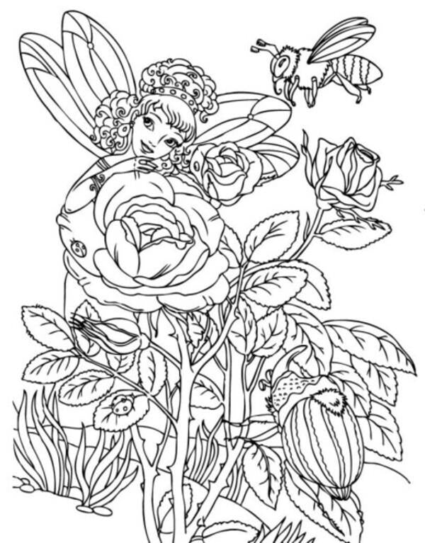 Big coloring book. Princesses / Велика книга розмальовок. Принцеси  9789667514730-6