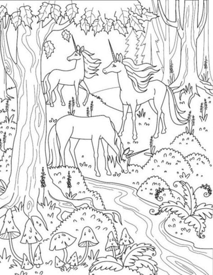 Big coloring book. Unicorns and fairies / Велика книга розмальовок. Єдинороги та феї  9789667511265-4