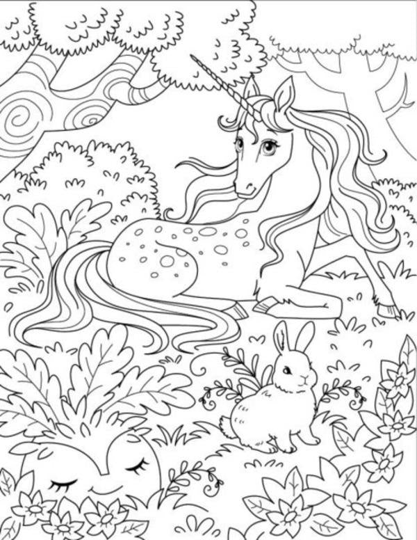 Big coloring book. Unicorns and fairies / Велика книга розмальовок. Єдинороги та феї  9789667511265-6