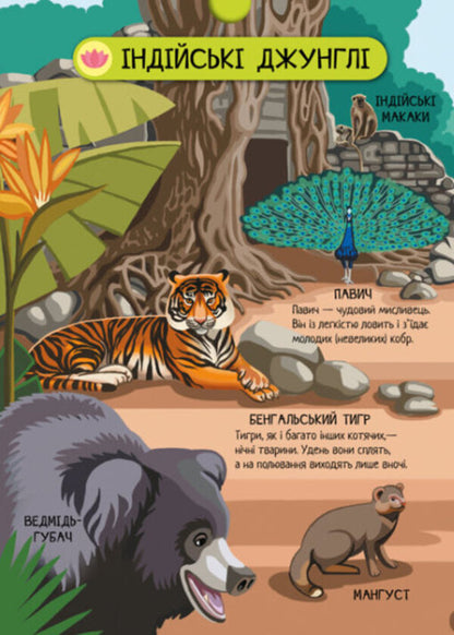 Big game encyclopedia. Animals of the world / Велика ігрова енциклопедія. Тварини світу А. Толмачова 9786170974723-6