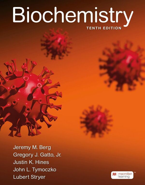 Biochemistry / Biochemistry Джон Л. Тимочко, Люберт Страер, Джереми М. Берг, Грегори Дж. Гатто, мл., Джастин Хайнс 9781319498504-1
