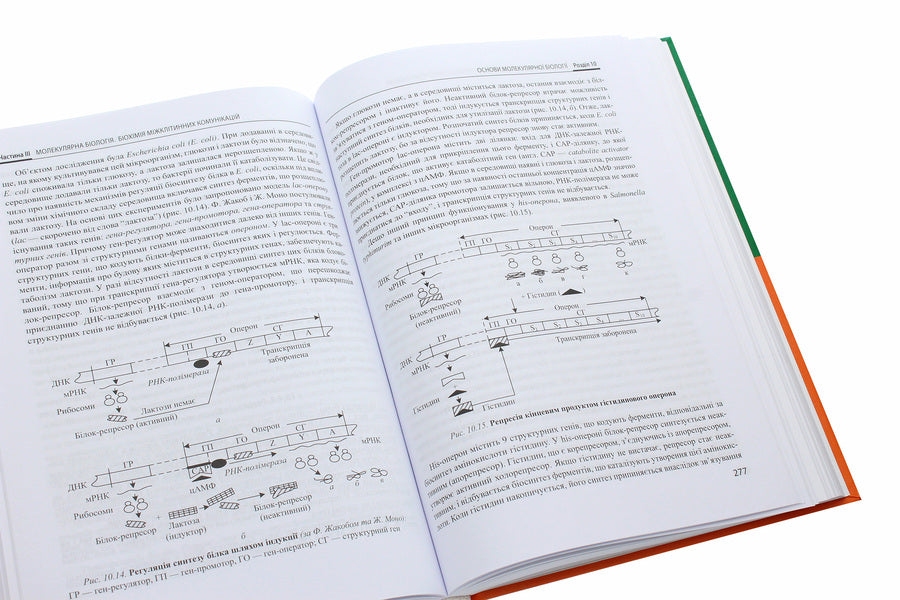 Biological and bioorganic chemistry. In 2 books. Book 2. Biological chemistry / Біологічна і біоорганічна хімія. У 2 книгах. Книга 2. Біологічна хімія Юрий Губский, Михаил Корда, Ирина Ниженковская 978-617-505-850-3-5
