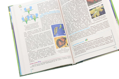 Biology. 6th grade Textbook / Біологія. 6 клас. Підручник Николай Мусиенко, Лариса Остапченко, Павел Балан, Надежда Матяш, Павел Славный 978-966-11-1037-2-5