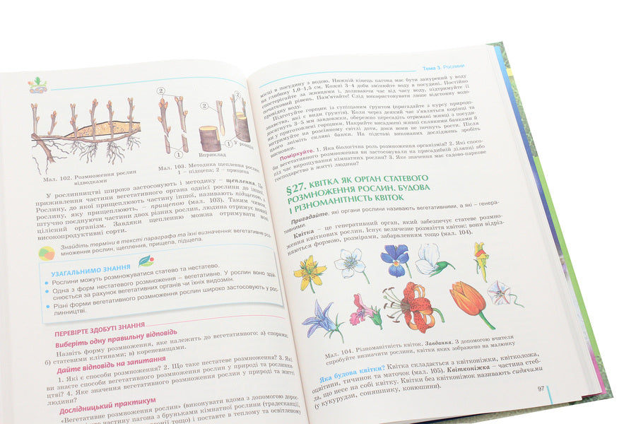Biology. 6th grade Textbook / Біологія. 6 клас. Підручник Николай Мусиенко, Лариса Остапченко, Павел Балан, Надежда Матяш, Павел Славный 978-966-11-1037-2-6