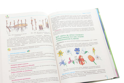 Biology. 6th grade Textbook / Біологія. 6 клас. Підручник Николай Мусиенко, Лариса Остапченко, Павел Балан, Надежда Матяш, Павел Славный 978-966-11-1037-2-6
