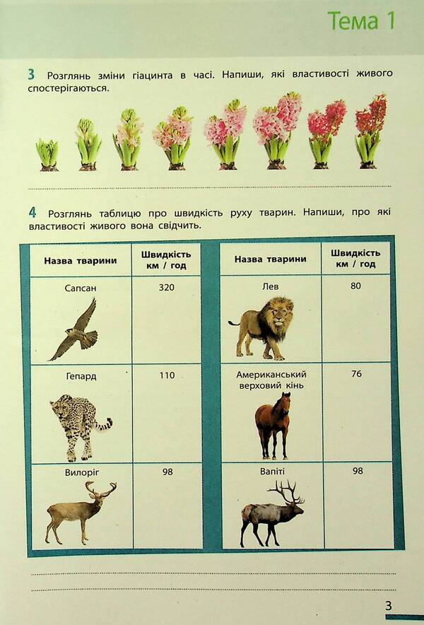 Biology. 7th grade. Workbook / Біологія. 7 клас. Робочий зошит Ольга Таглина, Андрей Самойлов, Ольга Утевская, Людмила Довгань 978-617-09-8951-2-6