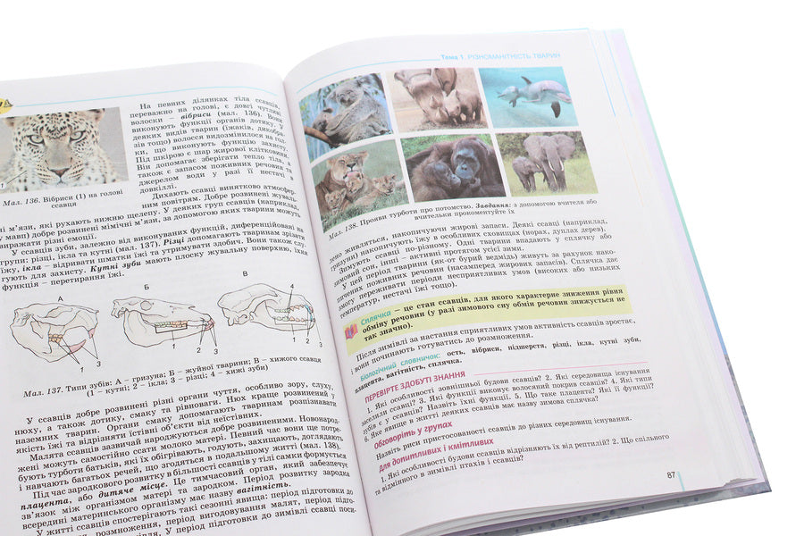 Biology. 7th grade / Біологія. 7 клас Валентин Серебряков, Павел Балан, Надежда Матяш 978-966-11-1108-9-6