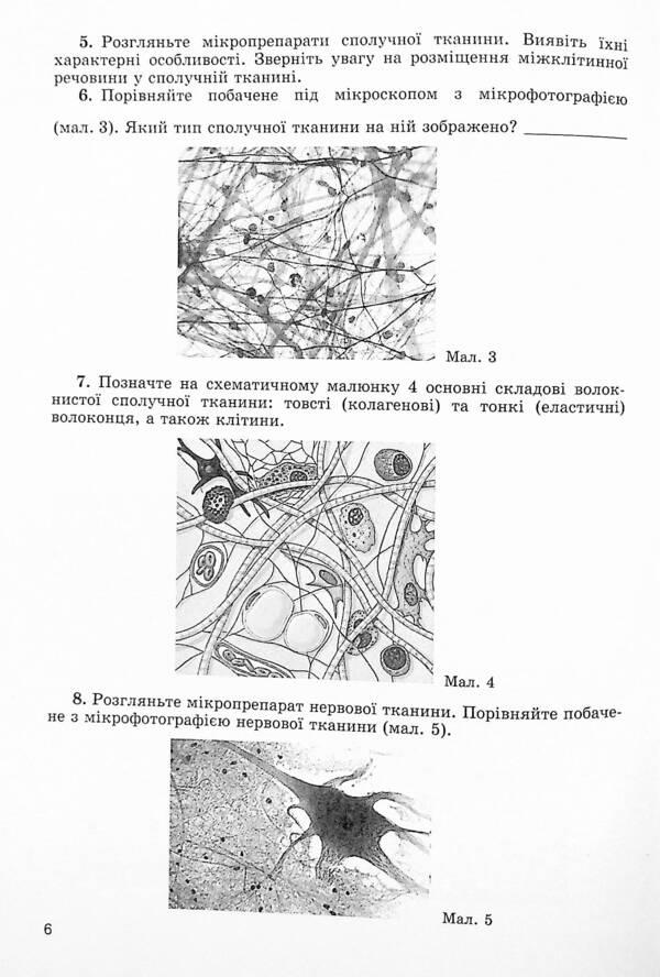 Biology. 8th grade Notebook for laboratory work / Біологія. 8 клас. Зошит для лабораторних робіт Павел Балан, Надежда Матяш 978-966-11-1200-0-5