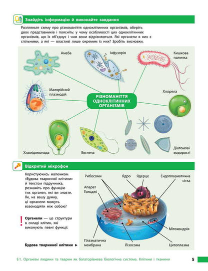 Biology. Grade 8. Textbook / Біологія. 8 клас. Підручник Ольга Таглина, Андрей Самойлов, Ольга Утевская, Людмила Довгаль 978-617-09-9589-6-5