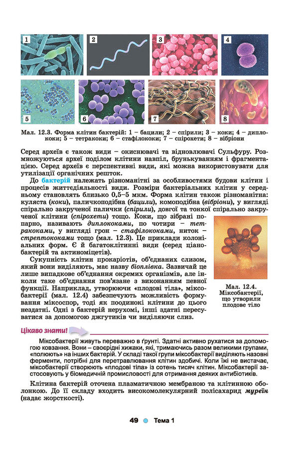 Biology. Textbook. Grade 10 / Біологія. Підручник. 10 клас Лариса Остапченко 978-966-11-0943-7-3