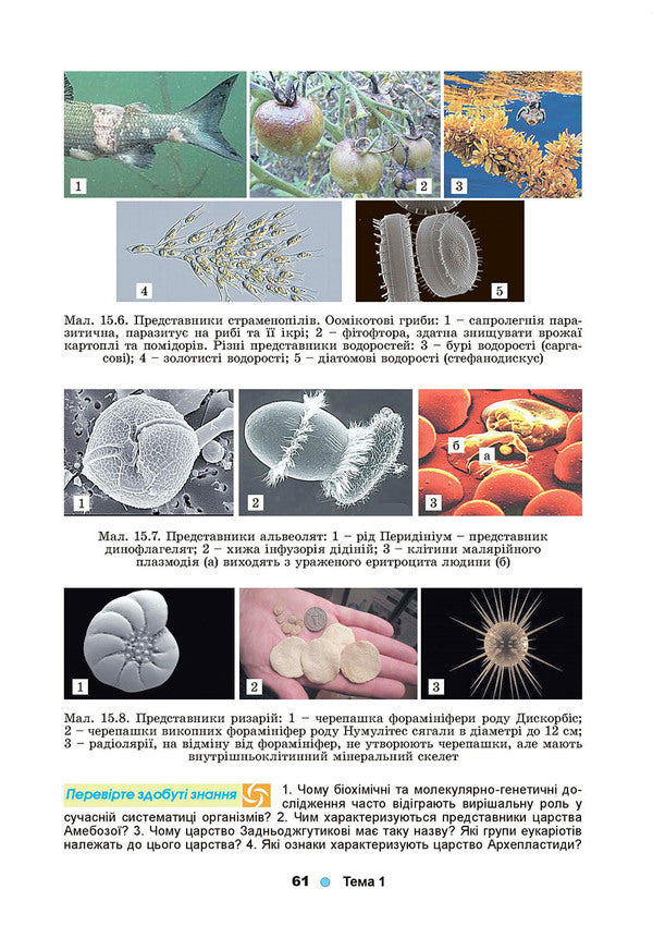 Biology. Textbook. Grade 10 / Біологія. Підручник. 10 клас Лариса Остапченко 978-966-11-0943-7-4