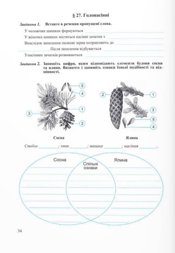 Biology. Workbook. 7Th Grade (To The Textbook Balan P.) / Біологія. Робочий зошит. 7 клас. (До підручника Балан П.) Iryna Zharkova, Larisa Mechnyk / Ірина Жаркова, Лариса Мечник 9789660743502-6