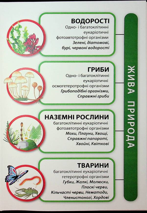 Biology 7th grade. Textbook / Біологія 7 клас. Підручник Валерий Соболь 978-617-8497-00-2-4