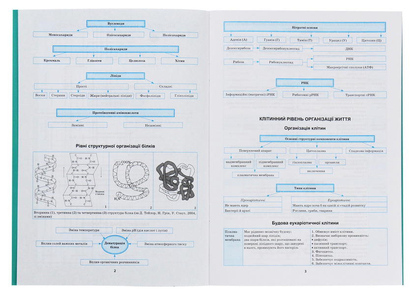 Biology In Tables And Diagrams 6-11 Grades - Бологя в таблицях схемах 6-11 класи Roman Evseev - Роман всв 9789669397300-4