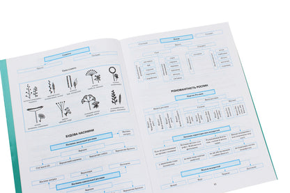 Biology In Tables And Diagrams 6-11 Grades - Бологя в таблицях схемах 6-11 класи Roman Evseev - Роман всв 9789669397300-5